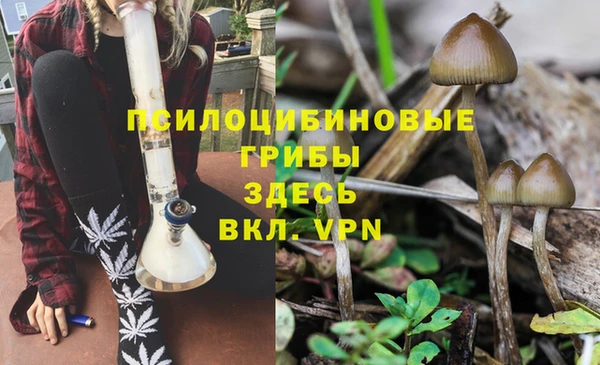 apvp Аркадак