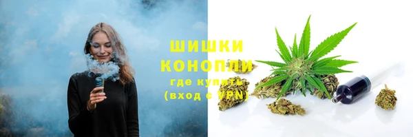 apvp Аркадак