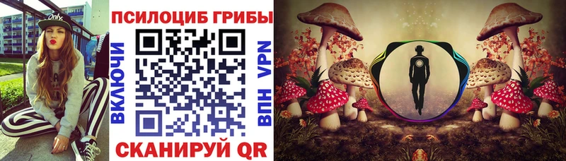 где продают наркотики  Ногинск  Псилоцибиновые грибы Cubensis 